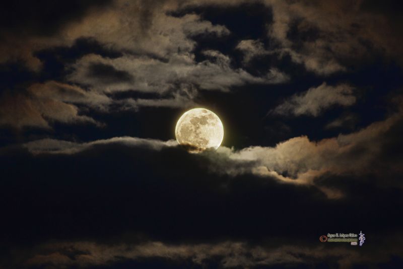 Luna de Mayo.jpg